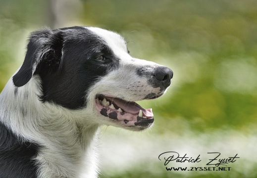 2022-04-13_0547_01_v1