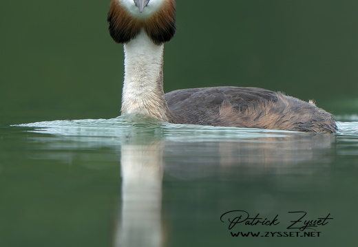 _DSC2174-ARW-DxO_DeepPRIME XD2_02