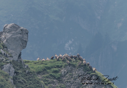 _DSC1723-ARW-DxO_DeepPRIME XD2