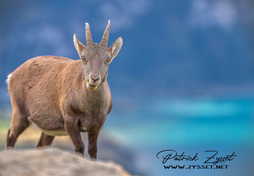 _DSC4319-ARW-DxO_DeepPRIME XD2-2