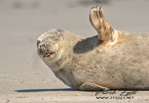 20250507_2421-DxO_DeepPRIME XD2s