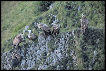 _DSC0134-DxO_DeepPRIME XD2s