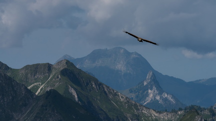 _DSC0315-DxO_DeepPRIME XD2s