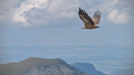 _DSC0427-DxO_DeepPRIME XD2s