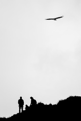 _DSC0692-DxO_DeepPRIME XD2s-2