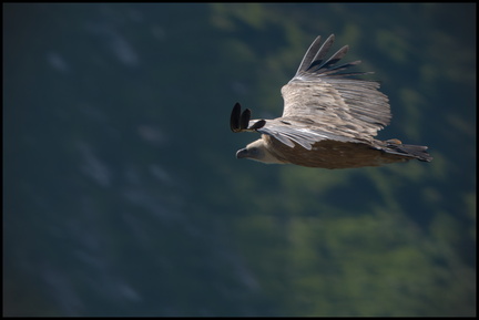 _DSC9888-DxO_DeepPRIME XD2s