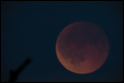 _DSC4507-DxO_DeepPRIME XD2s