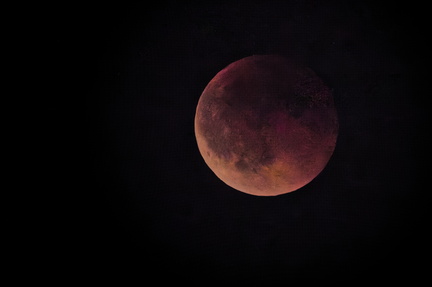 _DSC4521-DxO_DeepPRIME XD2s