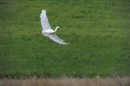 _DSC3801-ARW-DxO_DeepPRIME XD2