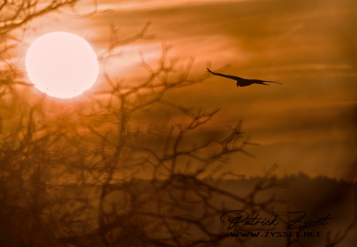 _DSC9269-DxO_DeepPRIME XD2s