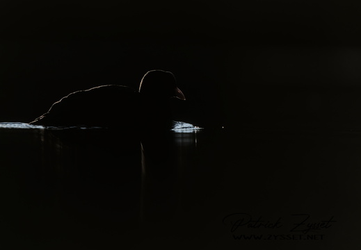 _DSC0920-DxO_DeepPRIME XD2s