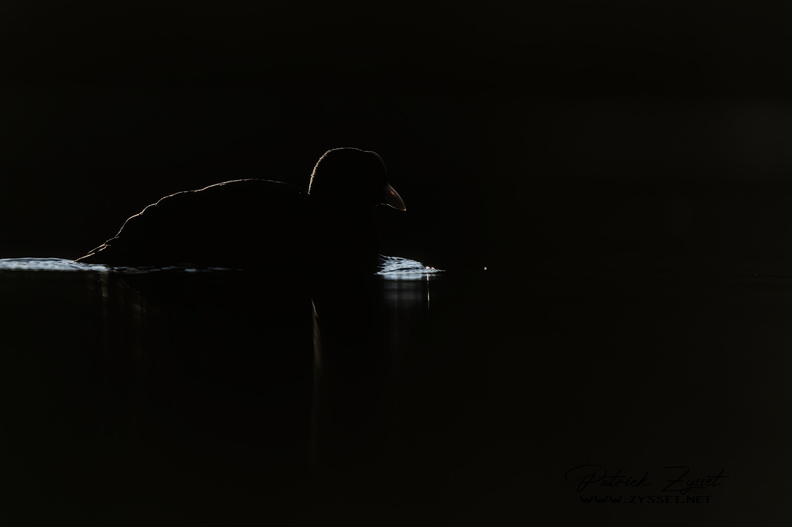 _DSC0920-DxO_DeepPRIME XD2s.jpg