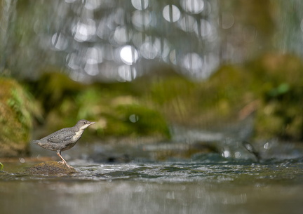 DSC04799-DxO_DeepPRIME XD2s-3_v2