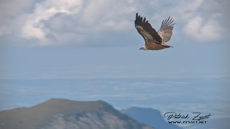 _DSC0427-DxO_DeepPRIME XD2s.jpg