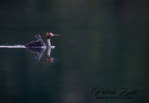 _DSC3084-DxO_DeepPRIME XD2s