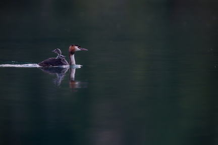 _DSC3084-DxO_DeepPRIME XD2s