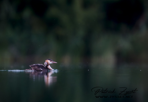 _DSC3187-DxO_DeepPRIME XD2s