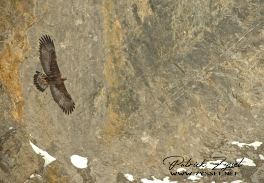 20260201_1071-DxO_DeepPRIME XD2s