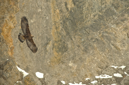 20260201_1071-DxO_DeepPRIME XD2s