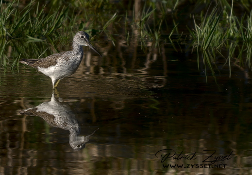 DSC09342-20260409-DxO_DeepPRIME XD3