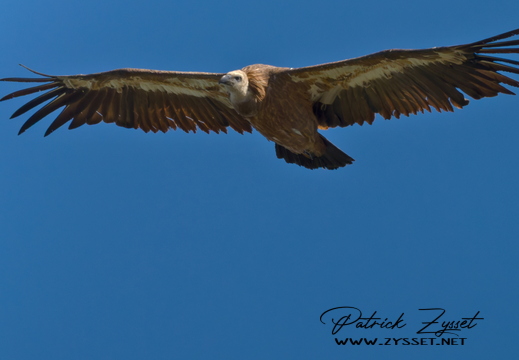 _DSC1841-DxO_DeepPRIME 3