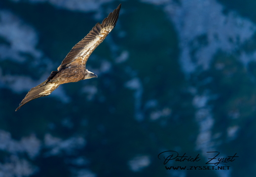 _DSC2319-DxO_DeepPRIME 3 LR